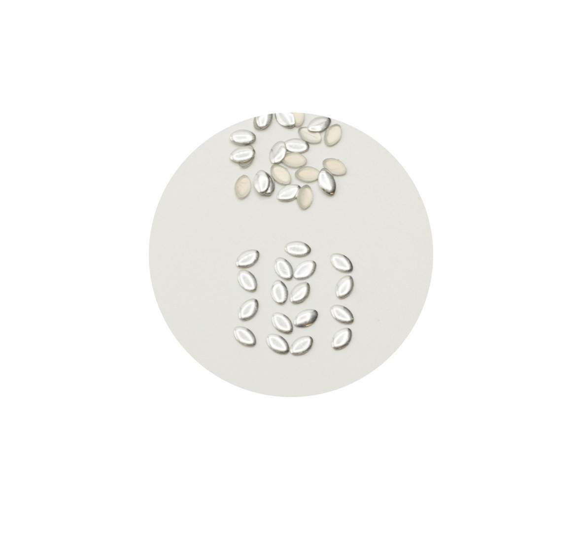Nailstuds no. 4 silver - ovali